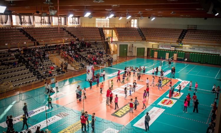 Macerata - Claudia Basso, una pedagogista al servizio della Volley Academy