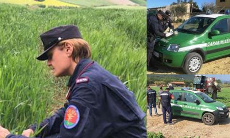 False aziende bio a Tolentino e Loro Piceno, utilizzavano prodotti vietati: sequestrati 86mila euro False aziende bio a Tolentino e Loro Piceno, utilizzavano prodotti vietati: sequestrati 86mila euro