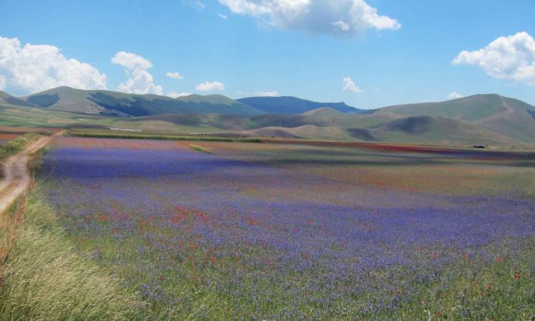 Parco dei Sibillini, boom di accessi al sito: cresce l'interesse dei turisti per l'area protetta