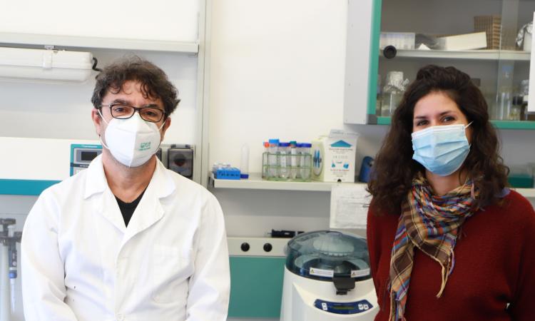 Unicam, da Creta a Camerino per un progetto di ricerca sul controllo della malaria Unicam, da Creta a Camerino per un progetto di ricerca sul controllo della malaria