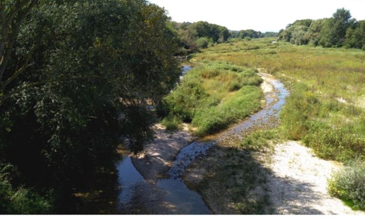 In secca un tratto del fiume Chienti: denunciate due ditte per lavori abusivi