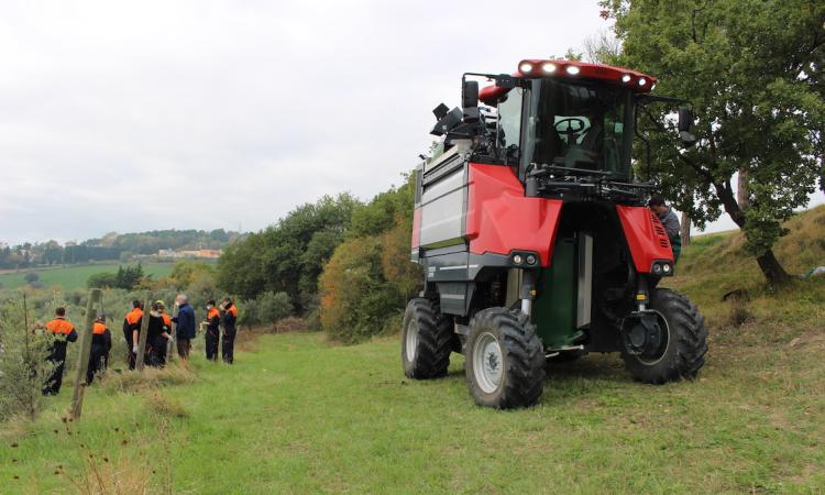 Macerata, l'Istituto Agrario accelera i tempi di raccolta delle olive: 2 ore per ogni ettaro