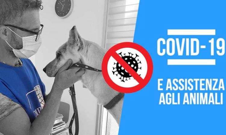 Dpcm anti-Covid, come accudire gli animali: le linee guida dell'Oipa