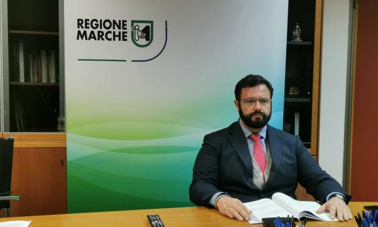 Allevamenti bovini, in arrivo dalla Regione 1,5 milioni di euro di aiuti Allevamenti bovini, in arrivo dalla Regione 1,5 milioni di euro di aiuti