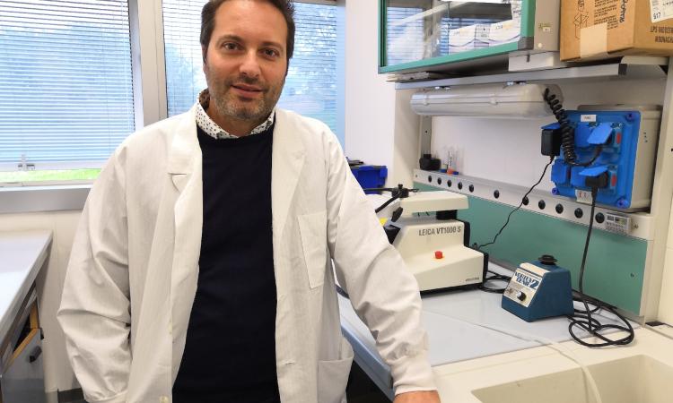Unicam, sonno e sogni in situazioni di emergenza: al via il progetto del prof Michele Bellesi Unicam, sonno e sogni in situazioni di emergenza: al via il progetto del prof Michele Bellesi