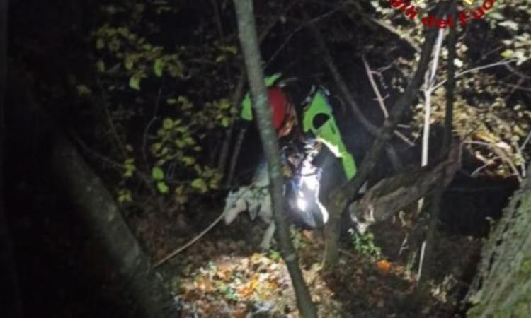 Serrapetrona, cane scivola per 50 metri in una scarpata: recuperato dai Vigili del Fuoco Serrapetrona, cane scivola per 50 metri in una scarpata: recuperato dai Vigili del Fuoco