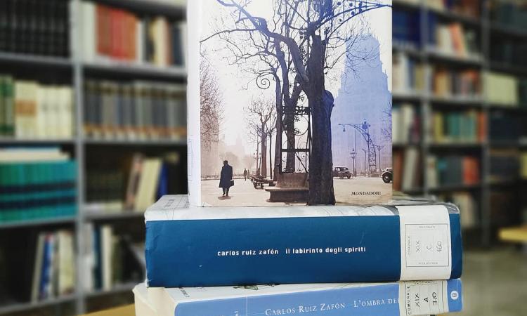 Recanati, dalla Biblioteca comunale i libri arrivano a casa: attivata la consegna a domicilio Recanati, dalla Biblioteca comunale i libri arrivano a casa: attivata la consegna a domicilio