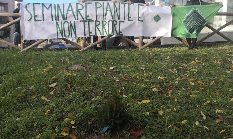 Macerata, il Covid non ferma la Festa dell'Albero del gruppo "la Foresta che Avanza"