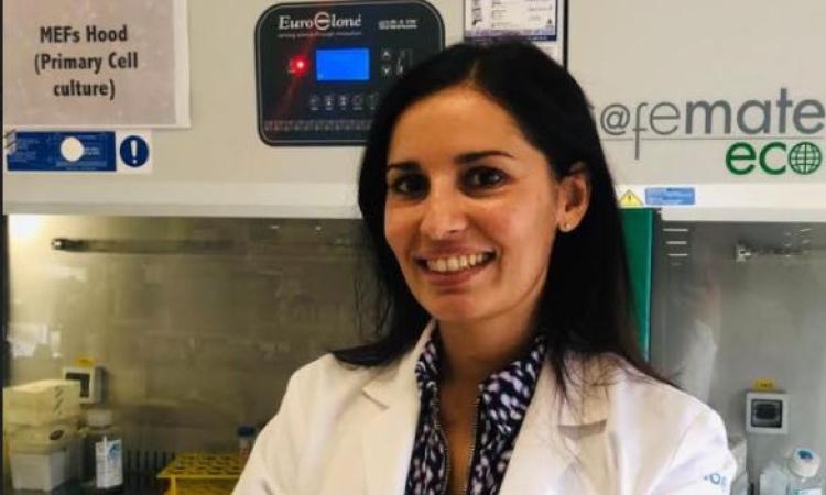 Uno studio scopre cure più efficaci contro il tumore alla prostata: nel team la recanatese Ilaria Guccini Uno studio scopre cure più efficaci contro il tumore alla prostata: nel team la recanatese Ilaria Guccini
