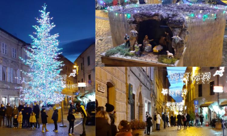 A Montefano si 'accende' il Natale: in piazza un albero di oltre 10 metri A Montefano si 'accende' il Natale: in piazza un albero di oltre 10 metri