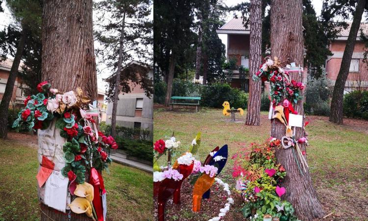 Macerata, strappata la foto di Pamela dal giardinetto in via Spalato: "Perché tanto disprezzo?"