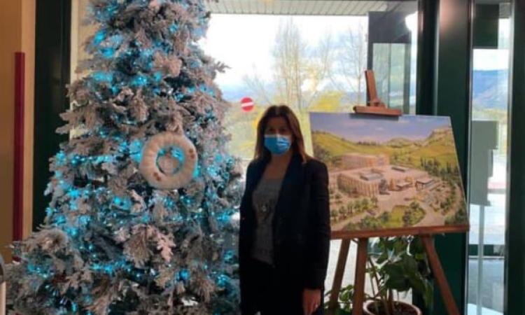 Camerino, all'Ospedale arriva un grande Albero di Natale: il dono dell’Amministrazione comunale Camerino, all'Ospedale arriva un grande Albero di Natale: il dono dell’Amministrazione comunale