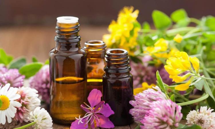 Proprietà dei fiori di Bach: gli effetti benefici della floriterapia