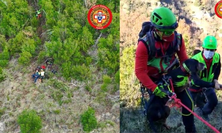 Scivola lungo un pendio mentre è a caccia col suo padrone: Zanna recuperata dal Soccorso Alpino Scivola lungo un pendio mentre è a caccia col suo padrone: Zanna recuperata dal Soccorso Alpino