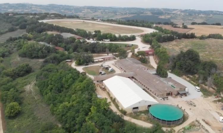 Civitanova, progetto "Riesco": l’ippoterapia come metodo d’inclusione sociale