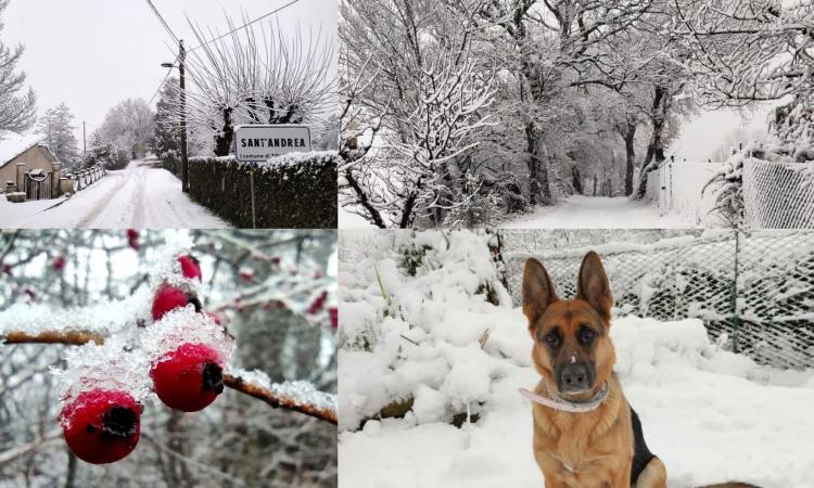 Tolentino, la neve arriva sulle colline: nessun affanno per la viabilità cittadina (FOTO) Tolentino, la neve arriva sulle colline: nessun affanno per la viabilità cittadina (FOTO)