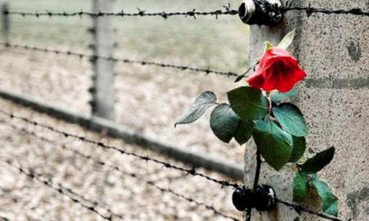 Appignano, 2 appuntamenti online per la Giornata della Memoria e del Ricordo: come partecipare