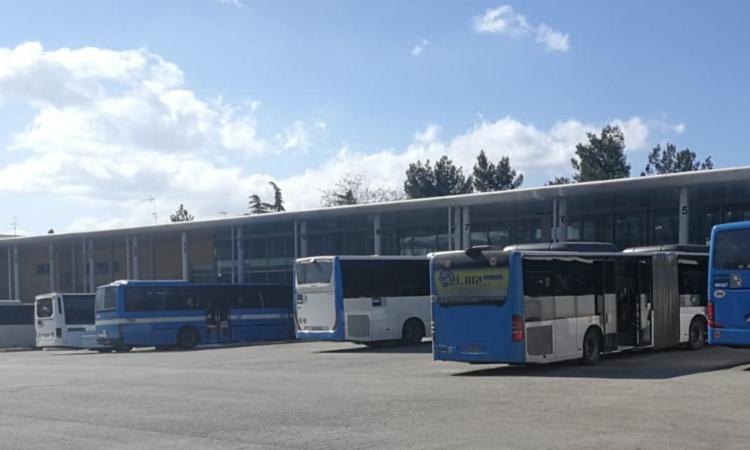 Macerata, il bilancio dopo 7 giorni di scuole superiori in presenza al 50%: "Il sistema trasporti ha retto" Macerata, il bilancio dopo 7 giorni di scuole superiori in presenza al 50%: "Il sistema trasporti ha retto"