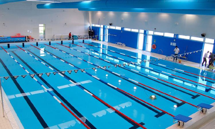Tolentino, due nuove vasche per la piscina comunale: la Giunta dice sì al progetto dell'Assm Tolentino, due nuove vasche per la piscina comunale: la Giunta dice sì al progetto dell'Assm