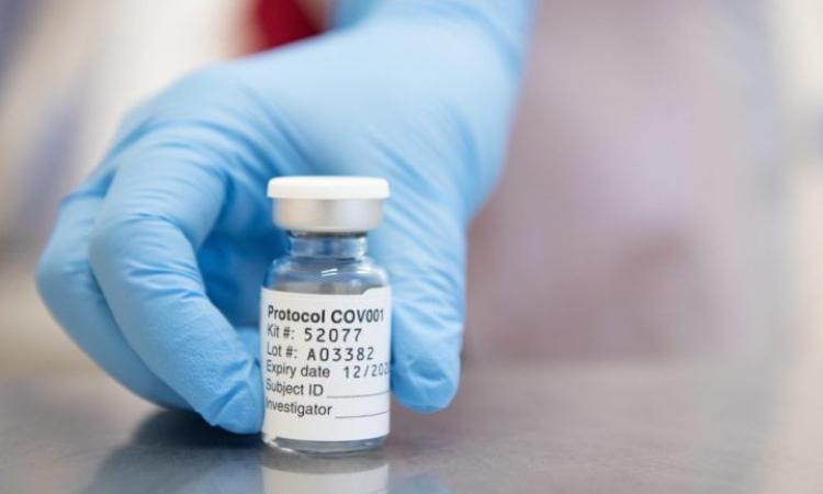 Macerata, vaccini agli over 80: ecco i moduli da compilare Macerata, vaccini agli over 80: ecco i moduli da compilare