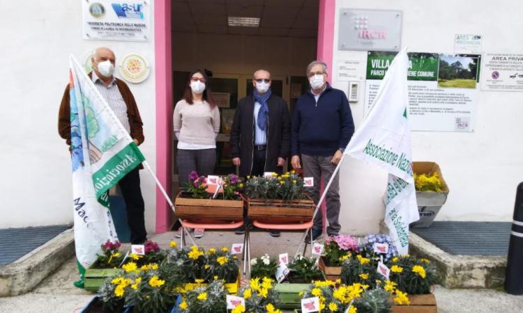 8 Marzo, fiori e mimose per ogni Casa di Riposo dell'ATS 15: il dono di tre associazioni maceratesi 8 Marzo, fiori e mimose per ogni Casa di Riposo dell'ATS 15: il dono di tre associazioni maceratesi