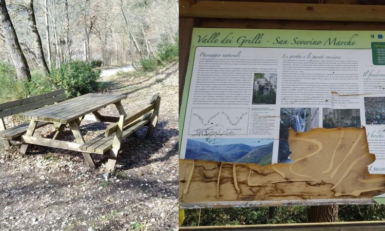 San Severino, panchine divelte e cartellonistica danneggiata: vandali devastano 'Valle dei Grilli'