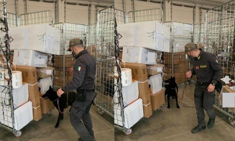Lo spaccio viaggia sul web: ordina 390 grammi di droga a domicilio e paga in bitcoin, nei guai 21enne (VIDEO) Lo spaccio viaggia sul web: ordina 390 grammi di droga a domicilio e paga in bitcoin, nei guai 21enne (VIDEO)
