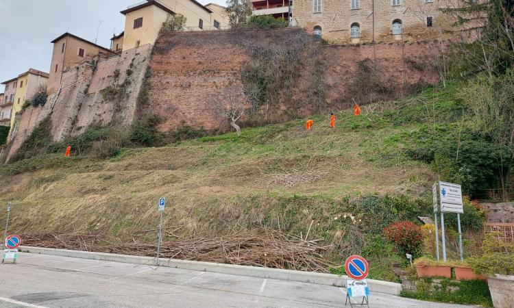 Camerino, la cinta muraria della città torna agli antichi splendori: "biglietto da visita importante" Camerino, la cinta muraria della città torna agli antichi splendori: "biglietto da visita importante"