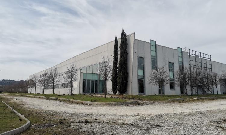 Macerata, prende forma il nuovo hub vaccinale di Piediripa: come cambia la viabilità nella zona Macerata, prende forma il nuovo hub vaccinale di Piediripa: come cambia la viabilità nella zona