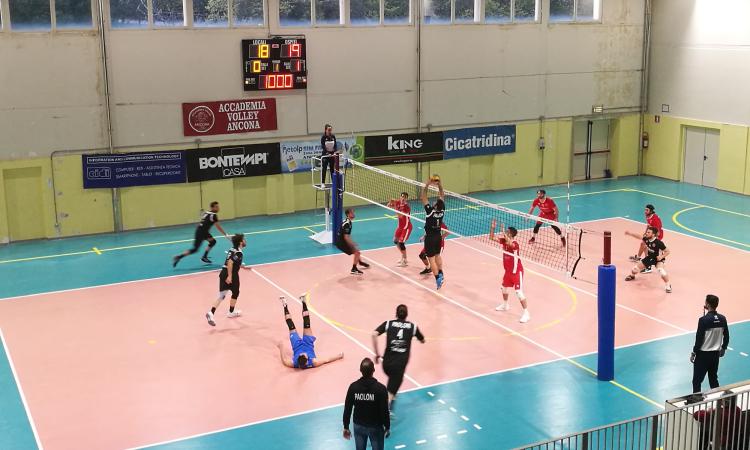 Volley, la Paoloni Macerata supera anche la prova del 9: è sempre più in testa al campionato Volley, la Paoloni Macerata supera anche la prova del 9: è sempre più in testa al campionato