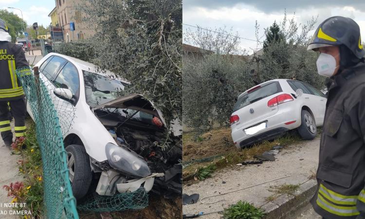 Pollenza, per evitare un cane finisce con l'auto in una scarpata: conducente al Pronto Soccorso (FOTO) Pollenza, per evitare un cane finisce con l'auto in una scarpata: conducente al Pronto Soccorso (FOTO)