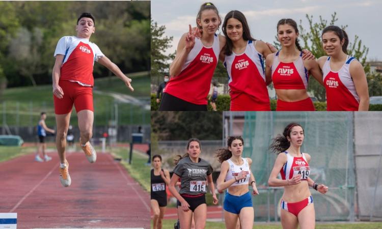 Atletica, la stagione dell'AVIS Macerata riparte a marce alte: tanti successi nei primi 15 giorni