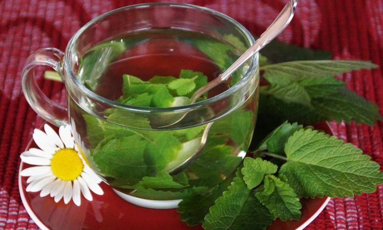 Come combattere ansia e stress con rimedi naturali