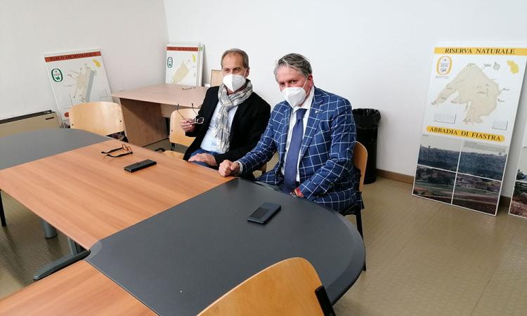 Tolentino, allarme termiti in viale Foro Boario: Pezzanesi incontra l'assessore Aguzzi Tolentino, allarme termiti in viale Foro Boario: Pezzanesi incontra l'assessore Aguzzi