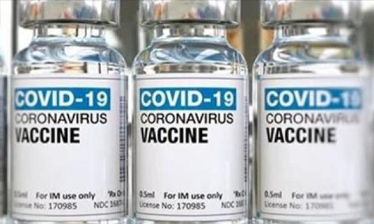 Covid, la Corte Costituzionale "salva" l'obbligo vaccinale: bocciati i ricorsi Covid, la Corte Costituzionale "salva" l'obbligo vaccinale: bocciati i ricorsi