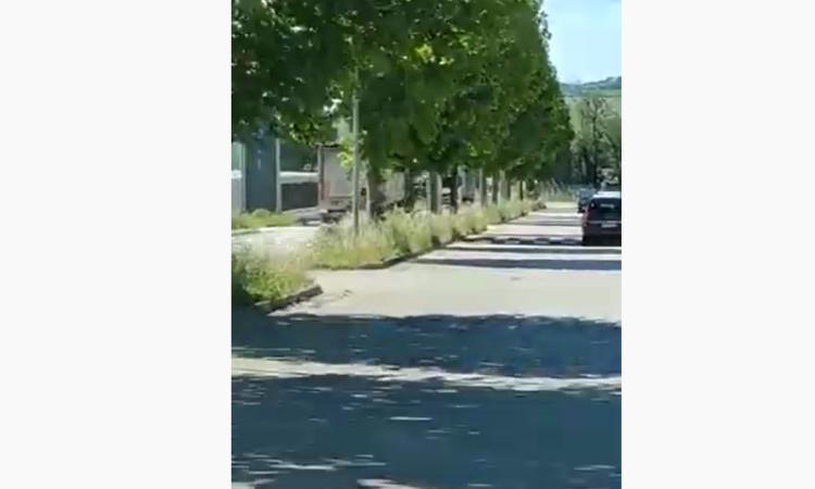 Ancora pericolo sulle strade marchigiane: camion contromano a Porto Sant'Elpidio (VIDEO)