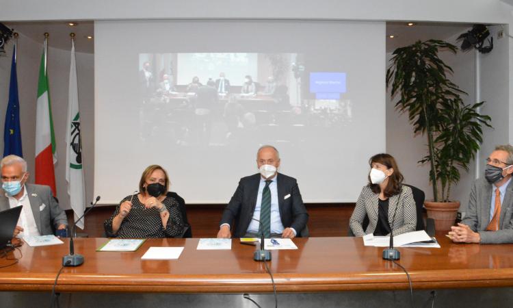 Marche, ok alla terapia Car-t-cell per la cura del linfoma non Hodgkin: "Speranze di guarigione oltre il 50%"