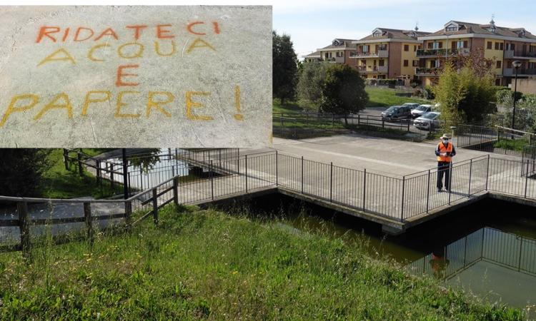 "Ridateci acqua e papere": spunta scritta al laghetto delle Vergini. Renna: "Era in condizioni inaccettabili" "Ridateci acqua e papere": spunta scritta al laghetto delle Vergini. Renna: "Era in condizioni inaccettabili"