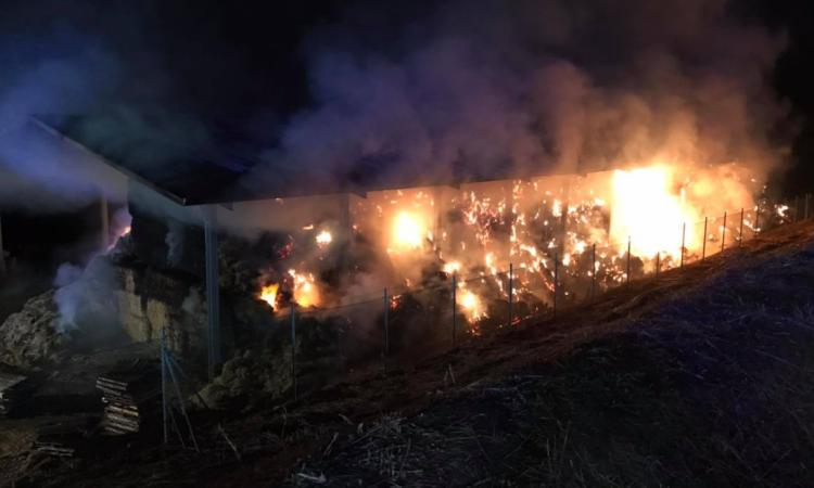 Pollenza, in fiamme nella notte capannone agricolo con oltre 5mila quintali di fieno Pollenza, in fiamme nella notte capannone agricolo con oltre 5mila quintali di fieno