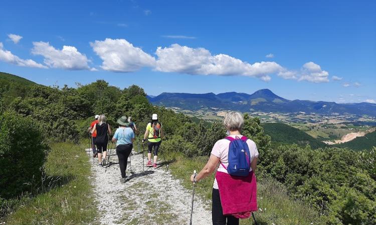 "Sport a Treia 2021": in partenza il 12 giugno "Sport a Treia 2021": in partenza il 12 giugno