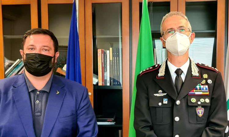 Allarme cinghiali nelle Marche, il vicepresidente Carloni incontra il comandante Andreatta