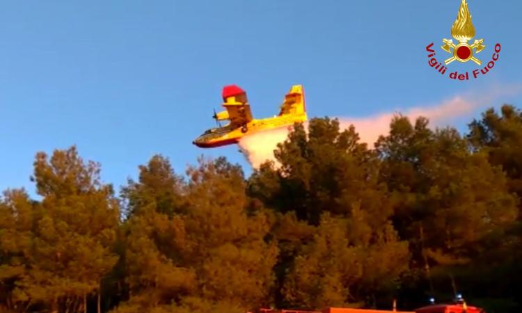 Bruciati 2000 metri quadrati di bosco sul Monte Conero: 7 lanci di Canadair per spegnere il rogo Bruciati 2000 metri quadrati di bosco sul Monte Conero: 7 lanci di Canadair per spegnere il rogo