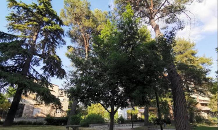Tolentino, partono i lavori ai giardini Lennon: resteranno chiusi sino al 12 dicembre