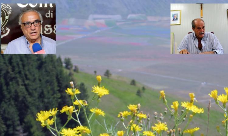 Fioritura Castelluccio, nessun accesso dalle Marche. I sindaci: "Colpo mortale alla nostra economia" Fioritura Castelluccio, nessun accesso dalle Marche. I sindaci: "Colpo mortale alla nostra economia"