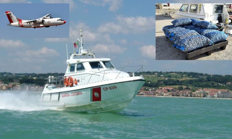 Pesca illegale a largo di Civitanova: multe per 8mila euro, sequestrati 400 chili di vongole