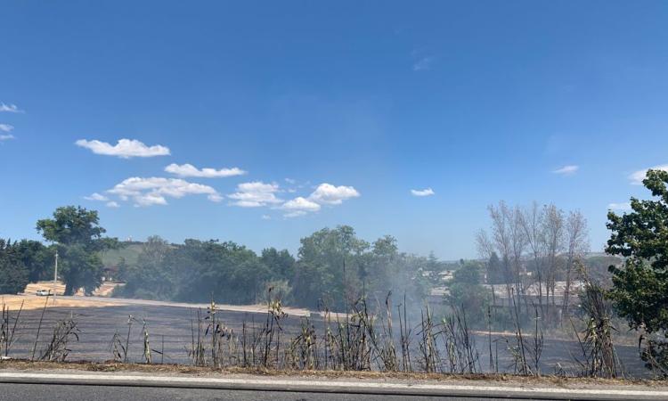 Macerata, vasto incendio di sterpaglie in via Bramante: code e disagi verso Piediripa