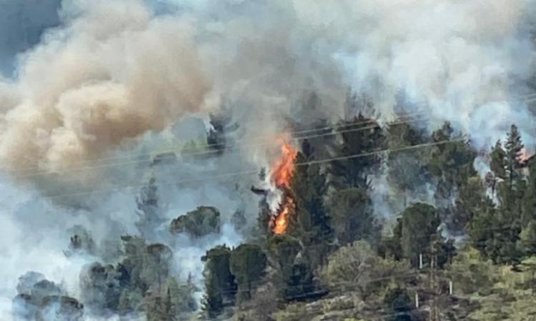 Un elicottero di supporto per fronteggiare gli incendi boschivi: riunione in Prefettura