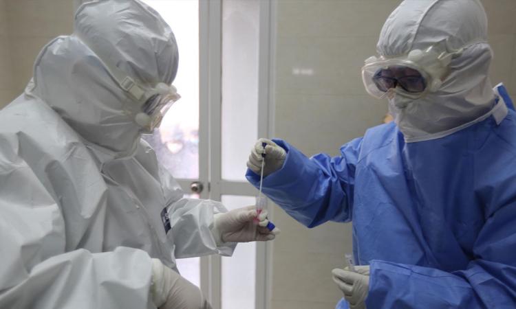 Coronavirus Marche, 41 casi oggi di cui 7 sintomatici: rapporto tamponi/positivi al 3,6% Coronavirus Marche, 41 casi oggi di cui 7 sintomatici: rapporto tamponi/positivi al 3,6%