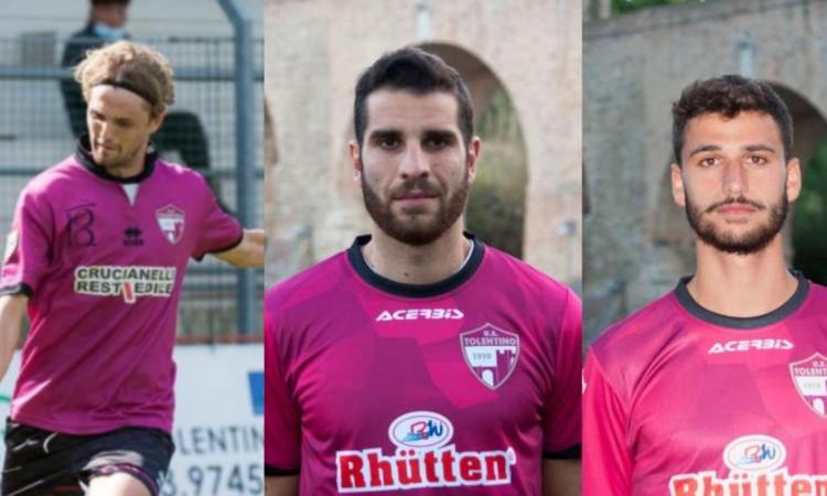 Serie D, tris di conferme per il Tolentino: Capezzani, Strano e Tortelli restano in cremisi