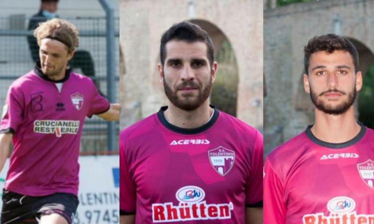 Serie D, tris di conferme per il Tolentino: Capezzani, Strano e Tortelli restano in cremisi Serie D, tris di conferme per il Tolentino: Capezzani, Strano e Tortelli restano in cremisi